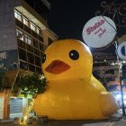 Un Pato inflable gigante fue colocado en Panamá e Imbabura.