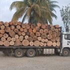 Militares decomisaron madera sin permisos en Taisha y neutralizaron una draga en el río Aguarico.
