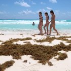 Turistas caminan en una playa impactada por el sargazo este lunes en el balneario de Cancún en Quintana Roo (México).