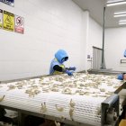 Las exportaciones impulsaron el crecimiento económico en 2025.