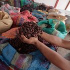 La exportación de cacao tuvo un repunte en 2023 por el alza en el precio de esta fruta en el mercado internacional.