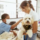 El auge de los ‘perrihijos’ refleja un cambio claro en la forma en que las personas se relacionan con sus perros.