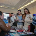 Los postulantes podrán acceder a cupos en institutos públicos a través del proceso de postulación en línea.