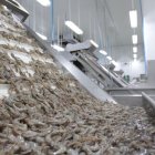 Sectores como la agricultura, silvicultura, caza y pesca atrajeron la inversión extranjera.