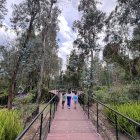 La Reserva Bosque de Cumbayá es parte de un sistema de espacios verdes en el séctor de San Patricio