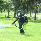 Brigadas municipales han intensificado la fumigación en zonas vulnerables. Pese a ellos la ciudadanía asegura que los vectores afectan a barrios enteros. Necesitan más acciones, alegan.
