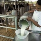 Los sectores productivos del país protestan contra la circular del SRI.