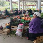 EL MERCADO ES ATENDIDO DIRECTAMENTE DE LOS PRODUCTORES DE JUAN BENIGNO VELA.
AG-EXTERNO