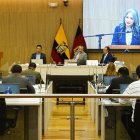 Fernanda Racines y Emilio Uzcátegui entregan 'amicus curiae' para proteger servicios sociales y culturales en Quito