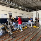 Aletas de tiburón, camufladas en sus fundas para pasar como buches de pescado.