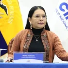 El Consejo Nacional Electoral, presidido por Diana Atamaint, resolvió adelantar las elecciones seccionales por una alerta climática de la Secretaría de Riesgos.