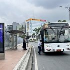 Tránsito. Los expertos consideran que la siembra de árboles debería concentrarse en lugares donde las personas están más expuestas a la contaminación.