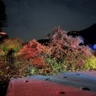 Sobre la carretera  Principal E-487 vía Riobamba - Guayaquil, en el sector Juan Montalvo, se han registrado deslizamientos.