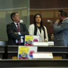 Legisladores del oficialismo colocaron banderas de Ecuador y Corea a propósito de la aprobación dle acuerdo comercial en el Pleno.