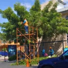 La poda de los árboles se registró en la avenida Adolfo Alvear Ordóñez, vía principal de la ciudadela Miraflores, en el norte de Guayaquil.