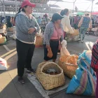 La feria de lunes y viernes de animales menores, mueve la venta de unos 10 mil cuyes y conejos en Ambato