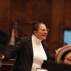 La legisladora del correísmo Sandra Figueroa durante la intervención en el Pleno de la Asamblea Nacional Ecuador.