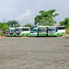 Unidades de transporte urbano permanecen detenidas en Quevedo como medida de protesta por la crisis económica del sector.