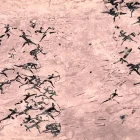 Pintura rupestre que muestra un enfrentamiento bélico, en el Parque Nacional Tassili n’Ajjer, Argelia, al norte de África.