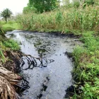 Oscar López observa un derrame de hidrocarburos junto a un campo de maíz, en la comunidad de Rafael Rosas, en Papantla, estado de Veracruz, el 11 de abril de 2026.