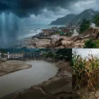 Según estudios existe un 61 % de probabilidad de que el fenómeno de El Niño se presente entre mayo y julio de este año.