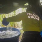 Operación binacional incautó 900 kilos de cocaína en Cauca, ligados a disidencias de las FARC
