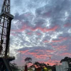 El hallazgo refuerza un sector clave que genera hasta $10.000 millones anuales.