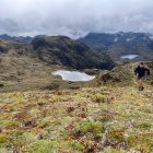 La reserva Cayambe - Coca, en la zona de las antenas de Papallacta, tiene paisajes de cerros y lagunas
