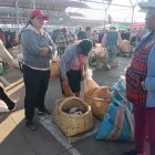 Una de las ferias de animales que hay en Ecuador.