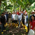 Autoridades y empresarios de China visitaron una hacienda de banano en Ecuador.