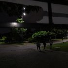 Aún hay problemas con algunas luminarias.
