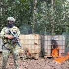 Ejército ejecuta tres operativos en Tena, Napo, para frenar minería ilegal en zonas selváticas.