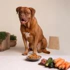Para que la alimentación sea completa, a más de elegir ingredientes frescos, también es clave equilibrar los macronutrientes.