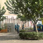 Trabajadores municipales podaron a la enredadera de flores lila.