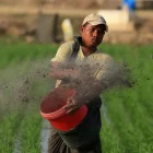 Logística. La interrupción del comercio y el traslado de insumos amenaza cadenas agrícolas claves.