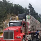 Transporte pesado crea recargo por combustible tras alza del diésel.
