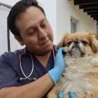 Leonel fue rescatado y ahora se encuentra bajo atención veterinaria de la Unidad de Bienestar Animal.