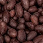 El productor de Milagro ha representado al Ecuador en encuentros internacionales sobre cacao.