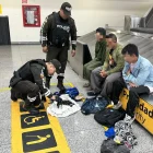 Tres tailandeses detenidos el 20 de mayo en Guayaquil por tráfico de iguanas