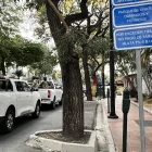 El Gobierno de Daniel Noboa enfrenta críticas por la falta de resultados en seguridad durante el primer año del periodo 2025-2029.