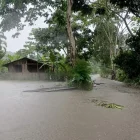 El desbordamiento de los ríos Napo y Misahuallí inundaron varias viviendas en esa provincia de la Amazonía.