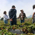 Programa del Minisiterio de Agricultura para que más jóvenes se interesen en trabajar en el campo.