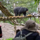 Zoológico de Quito lanza campaña de apadrinamiento para animales rescatados.