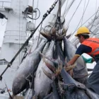 Al ser un sector exportador, la pesca no puede trasladar el incremento a sus compradores internacionales.
