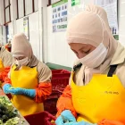 Trabajadores cumplen su jornada de trabajo en una fábrica.