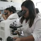 Estudiantes revisan ofertas académicas ante alerta por instituciones sin autorización en Ecuador.