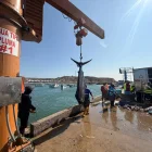 Actividades de pesca en uno de los puewrtos de Ecuador.