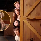 “Scooby-Doo: Origins”, la serie live action que busca dar un giro más profundo y aterrador a la historia.