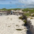 Los turistas que visiten Galápagos deberán seguir recomendaciones para evitar incidentes debido a las condiciones del mar.