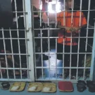Alimentación. No todos los reclusos reciben su porción de comidad en la bandeja designada para ellos.